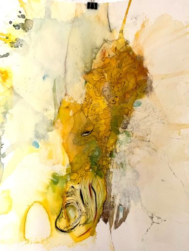 ROOTS VI